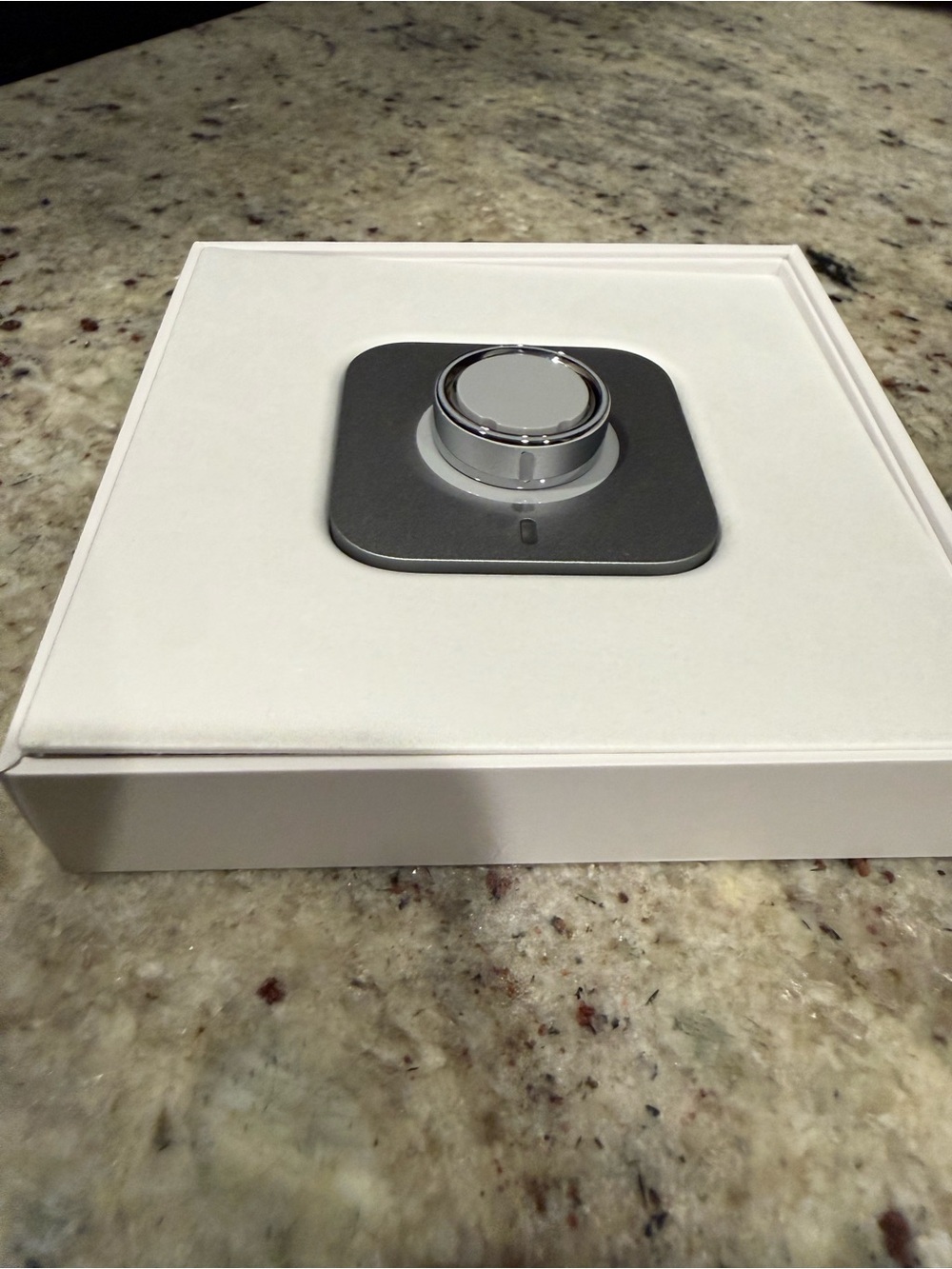 Oura Silver and Gray Ring Charging Dock